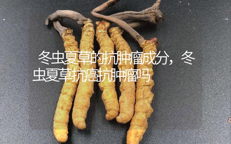 冬蟲夏草的抗腫瘤成分，冬蟲夏草抗癌抗腫瘤嗎？