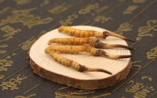 哪個(gè)產(chǎn)地的冬蟲(chóng)夏草品質(zhì)較好？